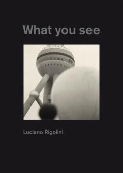 What You See - Rigolini, Luciano