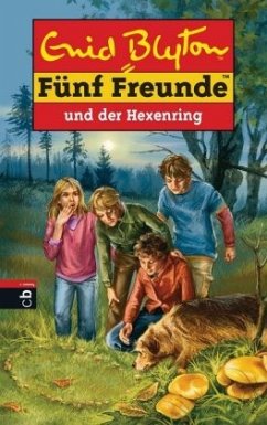 Fünf Freunde und der Hexenring / Fünf Freunde Bd.53 - Blyton, Enid