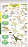Dinosaurs: North America