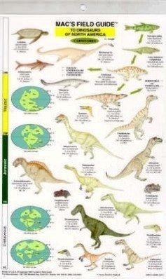 Dinosaurs: North America - MacGowan, Craig