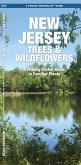 New Jersey Trees & Wildflowers