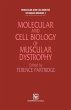 Molecular and Cell Biology of Muscular... - Bild 1