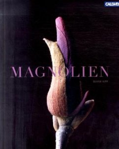 Magnolien - Kipp, Oliver
