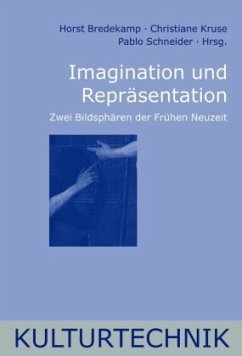 Imagination und Repräsentation - Bredekamp, Horst;Schneider, Pablo;Kruse, Christiane