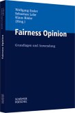 Fairness Opinion