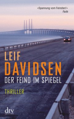 Der Feind im Spiegel - Davidsen, Leif
