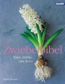 Zwiebelbibel