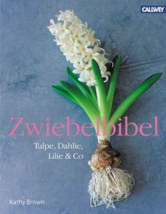 Zwiebelbibel - Brown, Kathy