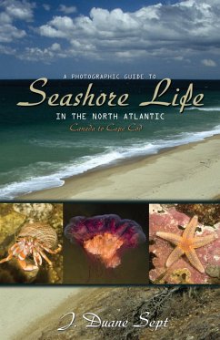 A Photographic Guide to Seashore Life in the North Atlantic - Sept, J Duane