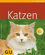 Katzen - Bild 1
