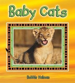 Baby Cats - Kalman, Bobbie