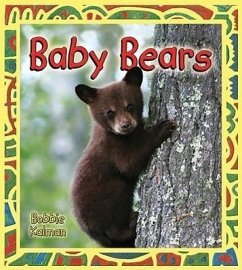 Baby Bears - Kalman, Bobbie