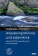 Anpassungsstörung und Lebenskrise - Bild 1