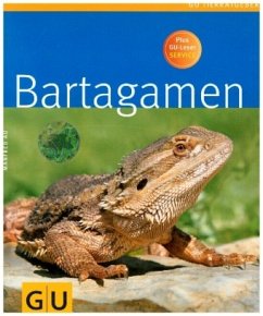 Bartagamen - Au, Manfred