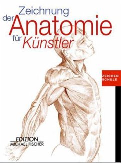 Zeichnung der Anatomie für Künstler