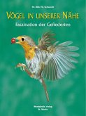 Vögel in unserer Nähe