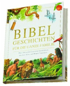 Cover Bibelgeschichten für die ganze Familie