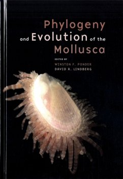 Cover Phylogeny and Evolution of the Mollusca