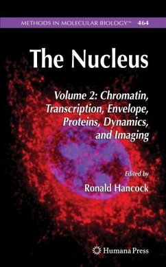 The Nucleus