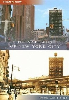 Chinatowns of New York City - Tan, Wendy Wan-Yin