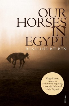 Cover Our Horses in Egypt