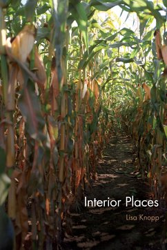 Interior Places - Knopp, Lisa