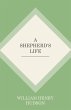 A Shepherd's Life - Bild 1