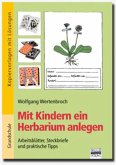 Mit Kindern ein Herbarium anlegen