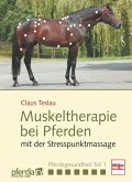 Muskeltherapie bei Pferden mit der Stresspunktmassage, 1 DVD