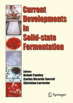 Current Developments in Solid-state Fermentation - Pandey, Ashok / Soccol, Carlos Ricardo / Larroche, Christian (eds.)