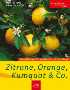 Zitrone, Orange, Kumquat & Co.: Die schönsten Zitruspflanzen und ihre Pflege - Klock, Monika