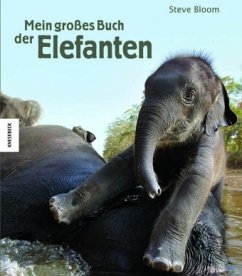 Mein großes Buch der Elefanten - Bloom, Steve