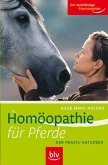 Homöopathie für Pferde