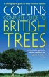 British Trees - Bild 1