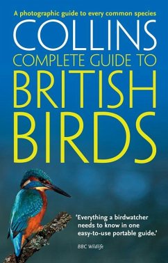 British Birds - Sterry, Paul