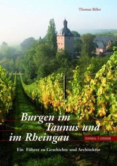 Burgen im Taunus und im Rheingau - Biller, Thomas