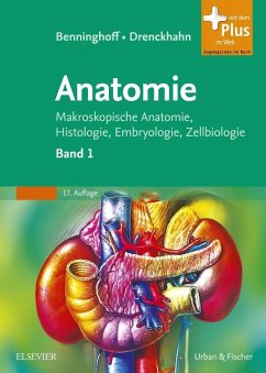 Benninghoff, Drenckhahn, Anatomie - Benninghoff, Alfred;Drenckhahn, Detlev