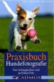 Praxisbuch Hundefotografie