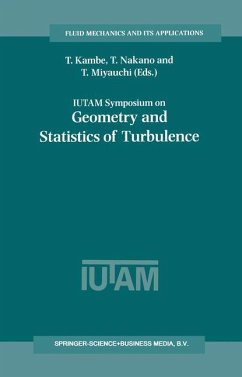 IUTAM Symposium on Geometry and Statistics of Turbulence - Kambe