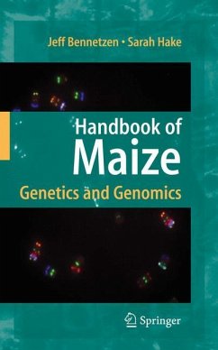 Handbook of Maize - Bennetzen, Jeff L. / Hake, Sarah (ed.)