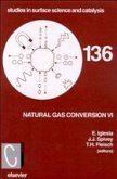Natural Gas Conversion VI