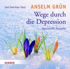 Wege durch die Depression, 1 Audio-Cd - Grün, Anselm