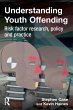 Understanding Youth Offending - Bild 1