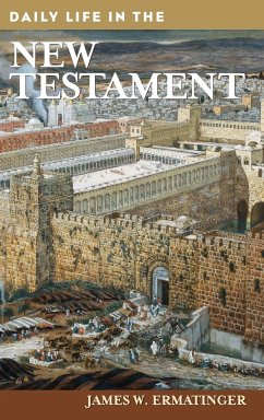 Daily Life in the New Testament - Ermatinger, James