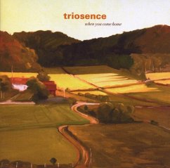 When You Come Home - Triosence