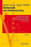 Mathematik zum Studieneinstieg - Grundwissen der Analysis für Wirtschaftswissenschaftler, Ingenieure, Naturwissenschaftler und Informatiker