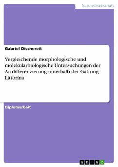Vergleichende morphologische und molekularbiologische Untersuchungen der Artdifferenzierung innerhalb der Gattung Littorina - Dischereit, Gabriel