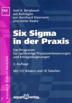 Six Sigma in der Praxis - Bergbauer, Axel K.