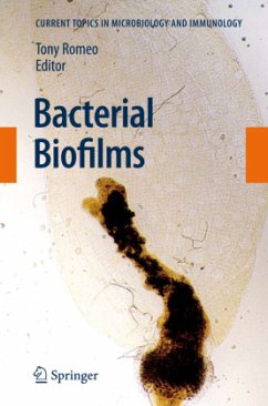 Bacterial Biofilms - Romeo, Tony (ed.)