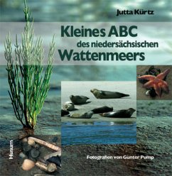 Kleines ABC des niedersächsischen Wattenmeers - Kürtz, Jutta